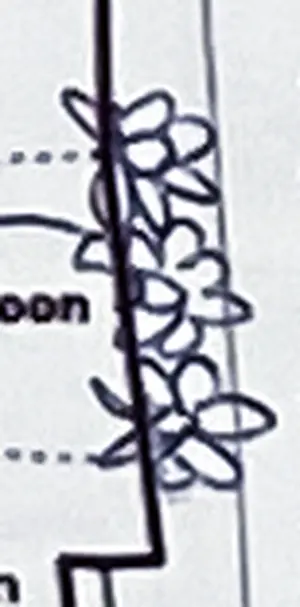 Abundance of flowers welcoming everyone a 